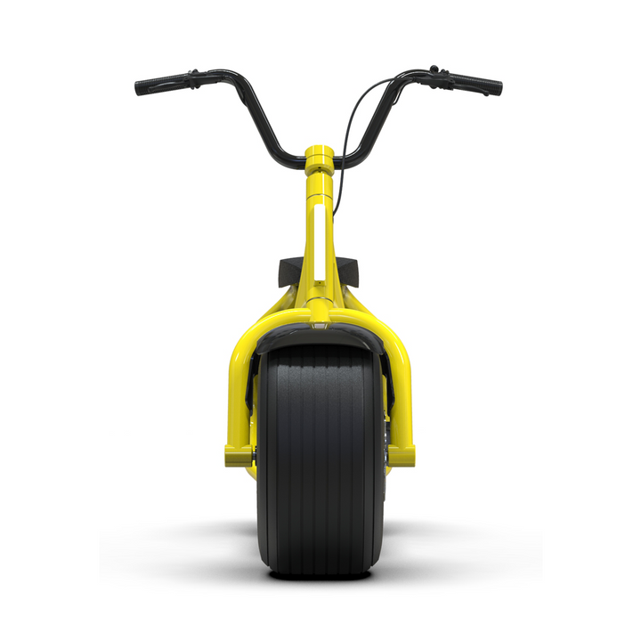 Petit Scooter électrique • 800W • 40 km/h